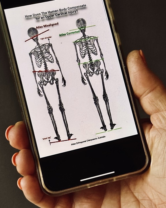 handphone